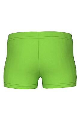Arena Logo Kids Boy Short Erkek Çocuk Yüzücü Şort Yeşil 003612600 - 2